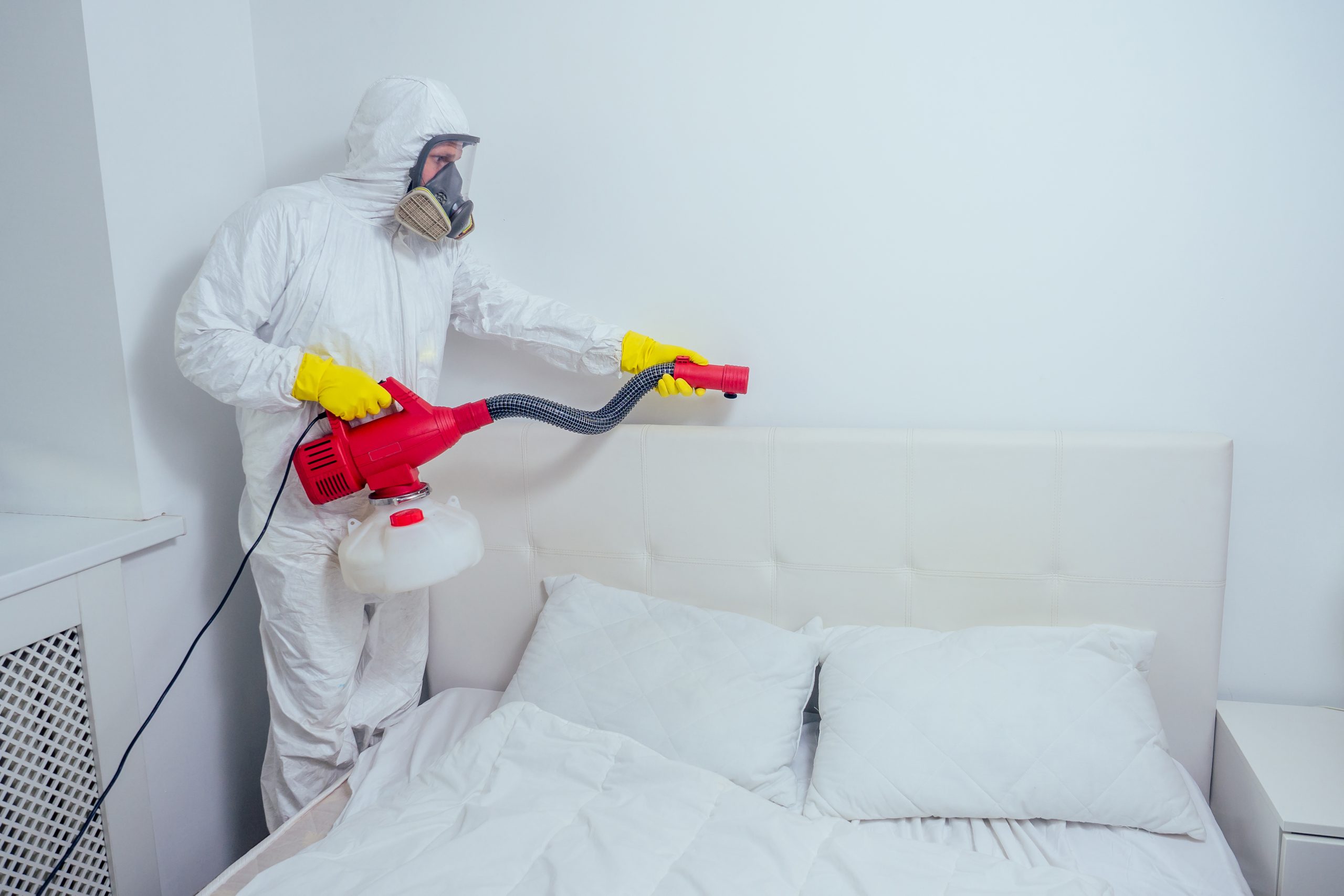 pest control worker lying on floor and spraying pesticides in bedroom.